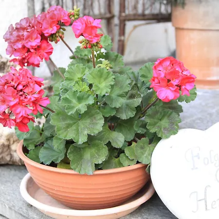 Bio-pension Bliem Altenmarkt im Pongau